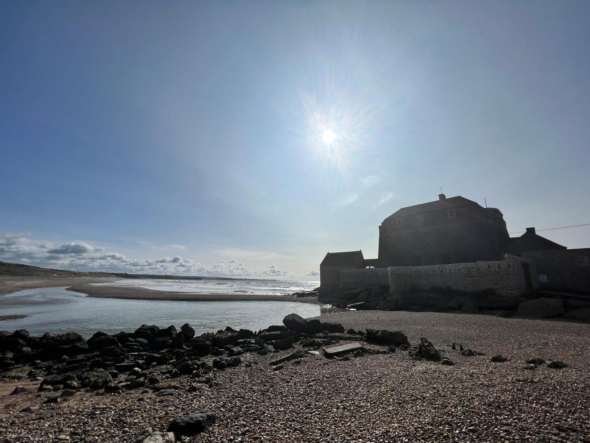 Les Pins : Rez De Jardin Proche Plage アンブレウーズ エクステリア 写真